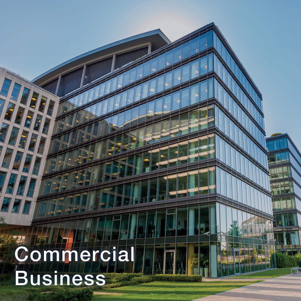 Commercial Business | EndlissPower